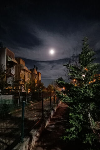 Moonlit Serenity: A Night Walk Under GECE