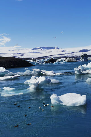 Nature's Ice Wonderland: Glacier Lagoon Adventure ❄️🌊