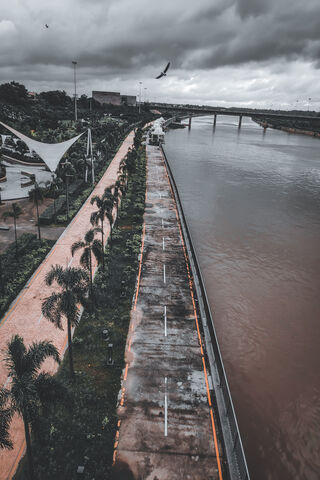 Serenity by the Gomti River 🌊🌿