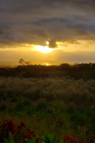 Golden Horizons: A Hawaiian Evening