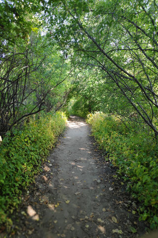 Hike