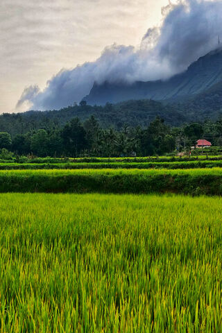Whispers of the Hills 🌄🌾