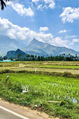 Serenity in the Hills of Tennessee 🌄🌿