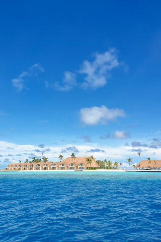 Tropical Bliss Awaits 🌴🌊