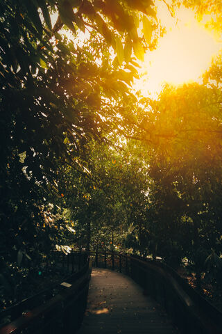 Into The Nature