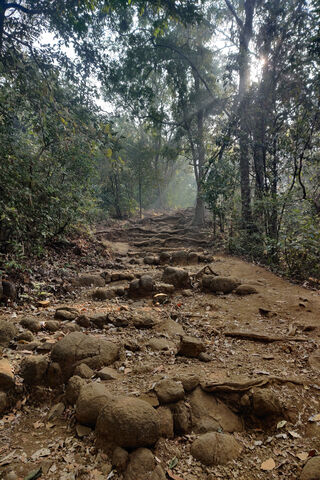 Journey to Karnala Fort: Nature's Pathway 🌳🏰
