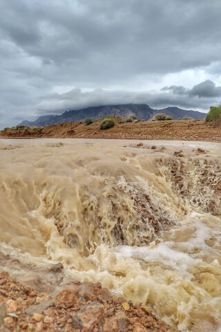 Koh Bork: Nature's Wild Symphony 🌊🌧️