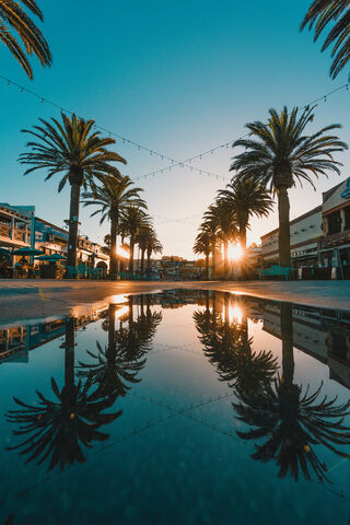 Sunset Serenity: Reflections of 2020