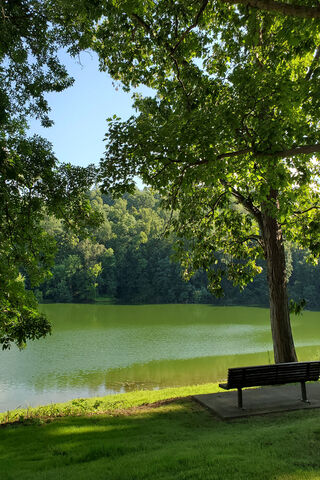 Serenity at Lake Park 🌳💧