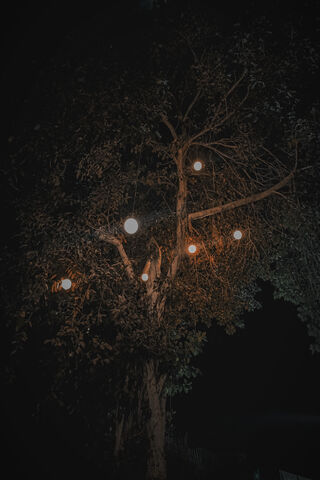 Illuminated Serenity: The Light Tree 🌟🌳