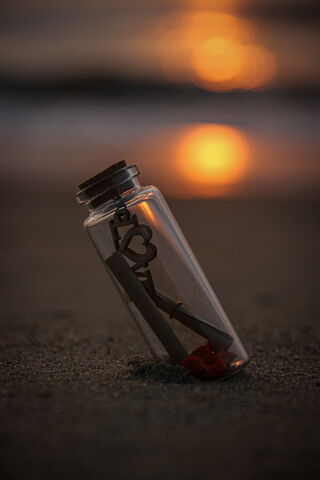 Messages from the Heart: A Lensbug Adventure 🌅💌