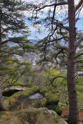 Nature's Overlook: A Glimpse of Mt. Pleasant, Ohio 🌲🏞️
