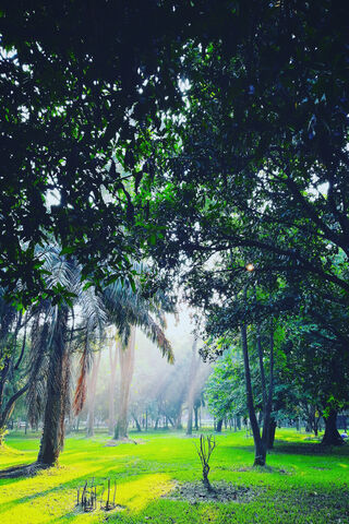 Awakening Light: A Morning Embrace 🌅