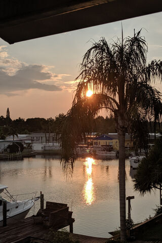 Sunrise Serenity at Morning Lagoon 🌅