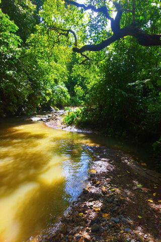 Serenity in My Home Village 🌿🏞️