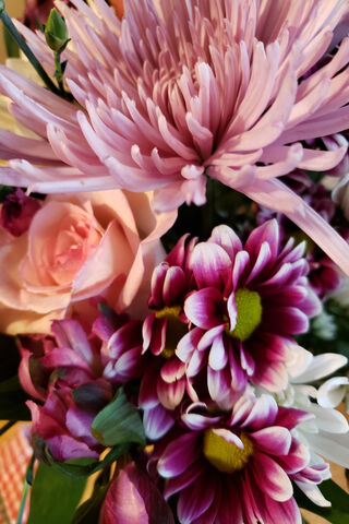 Blooming Love: A Tribute to Moms 🌸💖