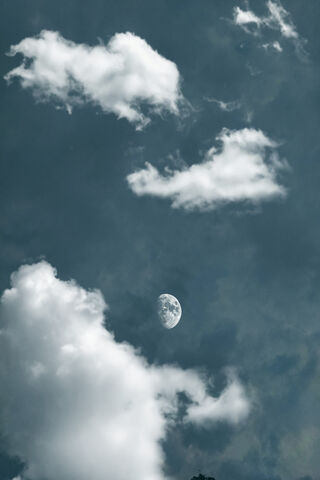 Celestial Serenity: The Moon's Embrace