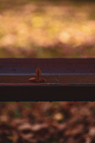 Nature's Defiant Gesture 🍂✋