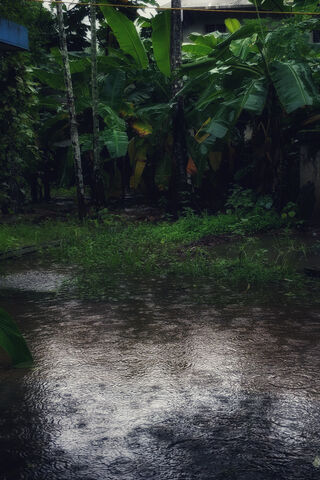 Nature's Symphony: Embracing the Monsoon