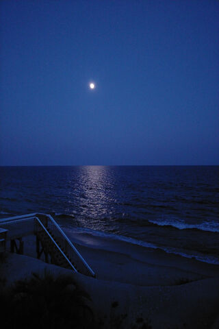 Moonlit Serenity: A Night on Moonlite Island 🌙✨