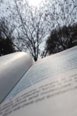 Nature's Classroom: Learning Under the Sky 🌳📚