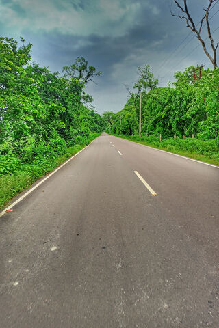 Pathway Through Serenity 🌳✨
