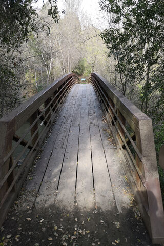 Serenity on the Nature Path 🌳🌞