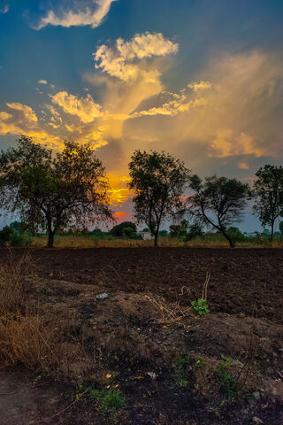 Golden Horizon: A Tranquil Evening