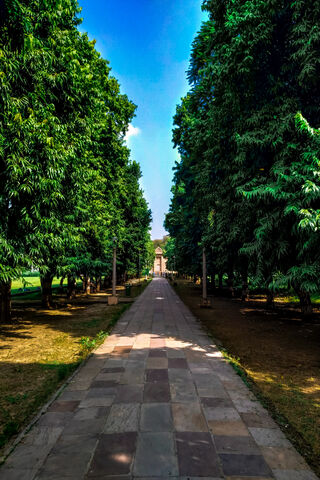 Pathway to Serenity 🌳✨