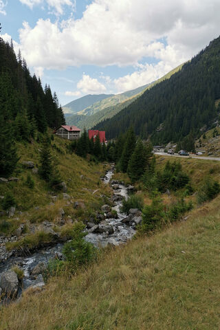 Serenity in the Mountains 🌲🏞️