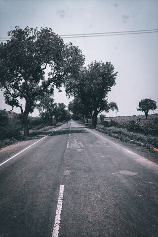 Serenity on the Open Road 🌳🚗