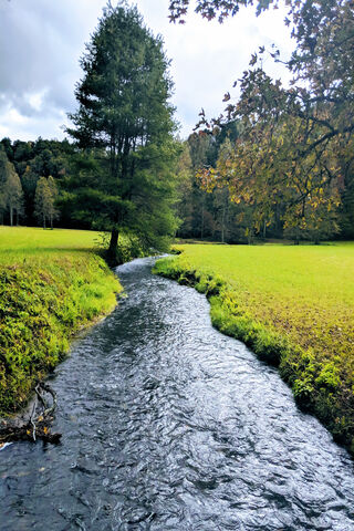 Serenity by the Stream 🌿✨