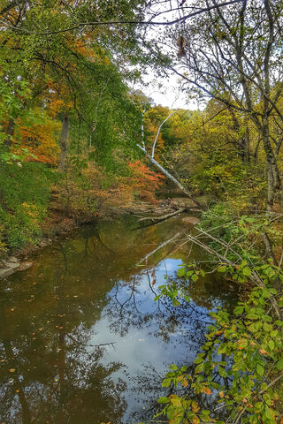 Autumn Reflections: The Essence of October Water 🍂💧