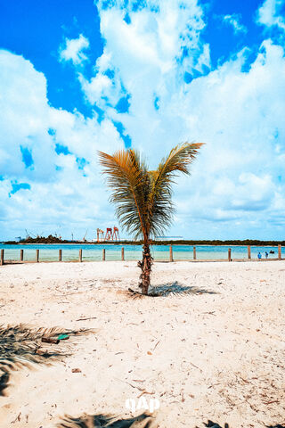 Paradise Found at Praia De Suape 🌴☀️