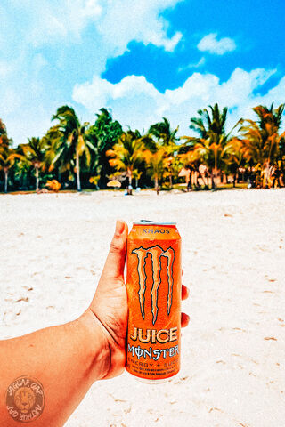 Refreshing Vibes at Praia De Suape 🌴☀️