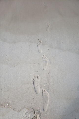 Footprints of Serenity 🌊👣