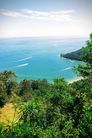 Serene Coastal Escape 🌊🌿