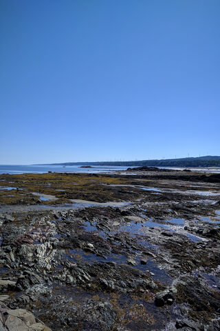 Tranquil Tides of Paysage 🌊✨
