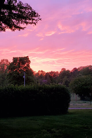 Blushing Horizons: A Serene Evening Glow 🌅