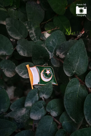 Symbol of Unity: The Pakistan Flag 🌟🇵🇰