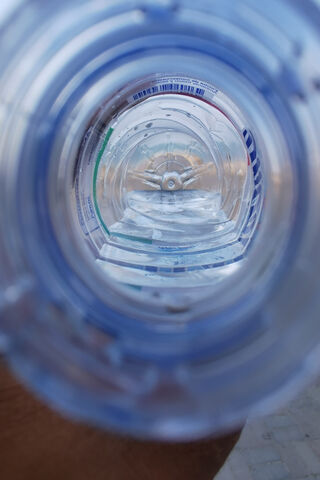 Through the Lens of Nature