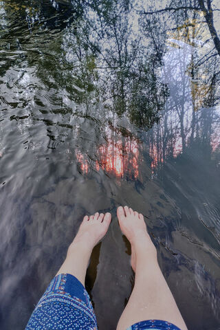 Nature's Embrace: A Moment of Serenity 🌅💧