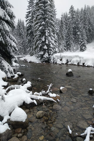 Winter Wonderland in Poland ❄️🌲