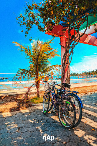 Biking Bliss at Praia De Suape 🌴🚴