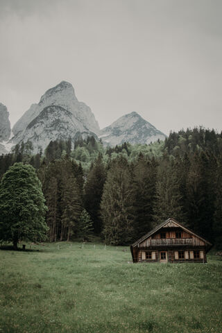Tranquil Retreat in Nature 🌲🏡