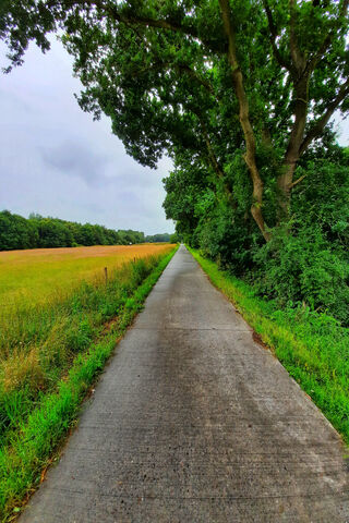 Serenity on the Trail 🌳✨