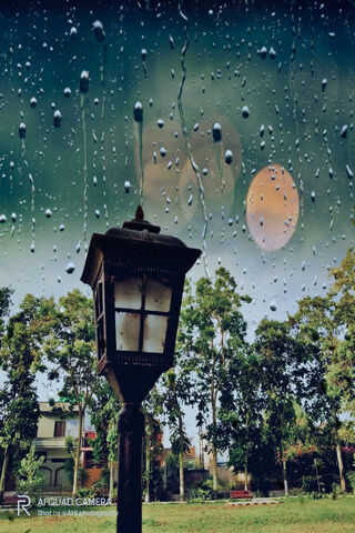 Whispers of a Rainy Day 🌧️✨