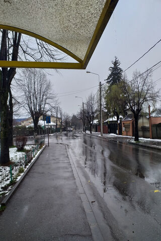 Whispers of Rain: A Serene Street Scene 🌧️
