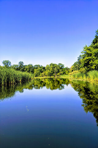 Serenity in Nature's Mirror 🌊🌳