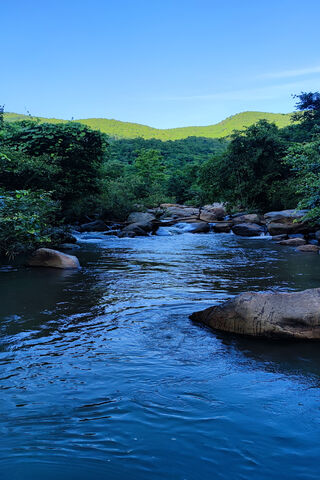 Serenity by the River Sence 🌊🌿